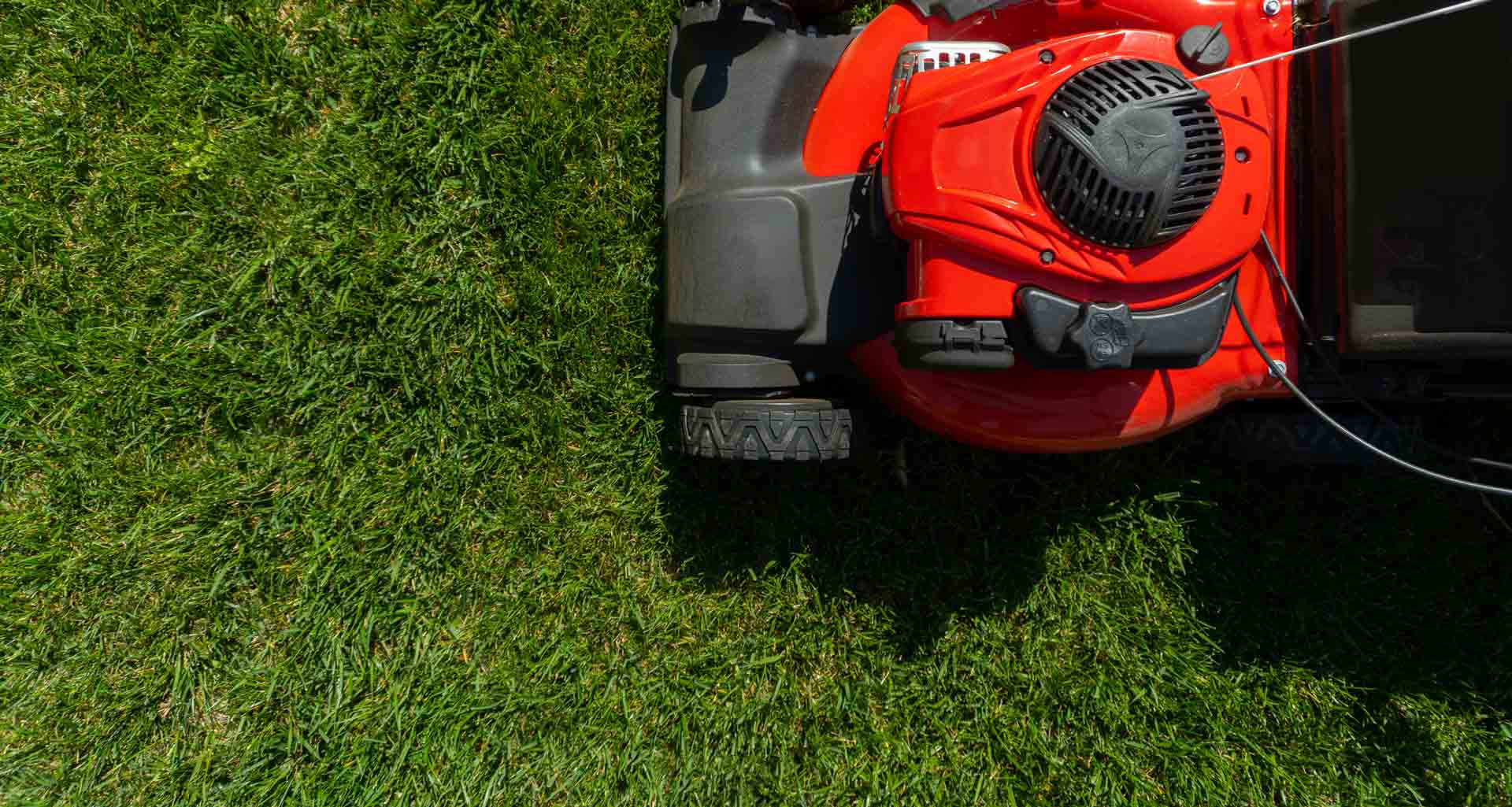 Lazaro's Contracting landscaping & maintenance services